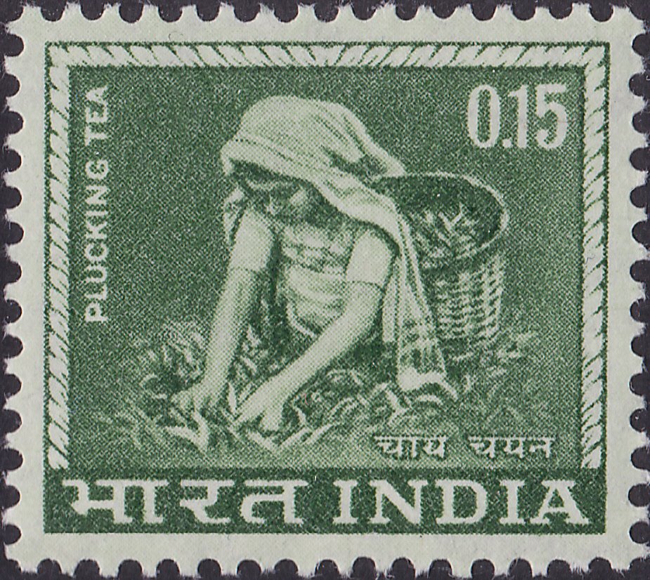 Tea plucking definitive stamp issued in 1965