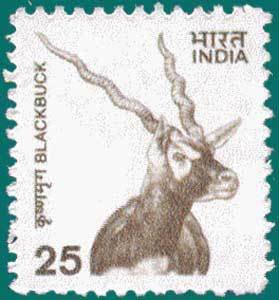 Blackbuck stamp from the Natural Heritage definitive series